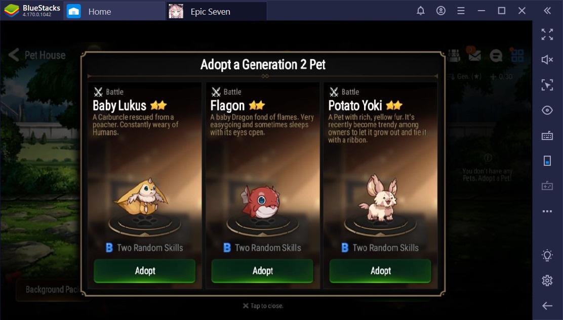 Epic Seven on PC: Everything You Need to Know About Pets