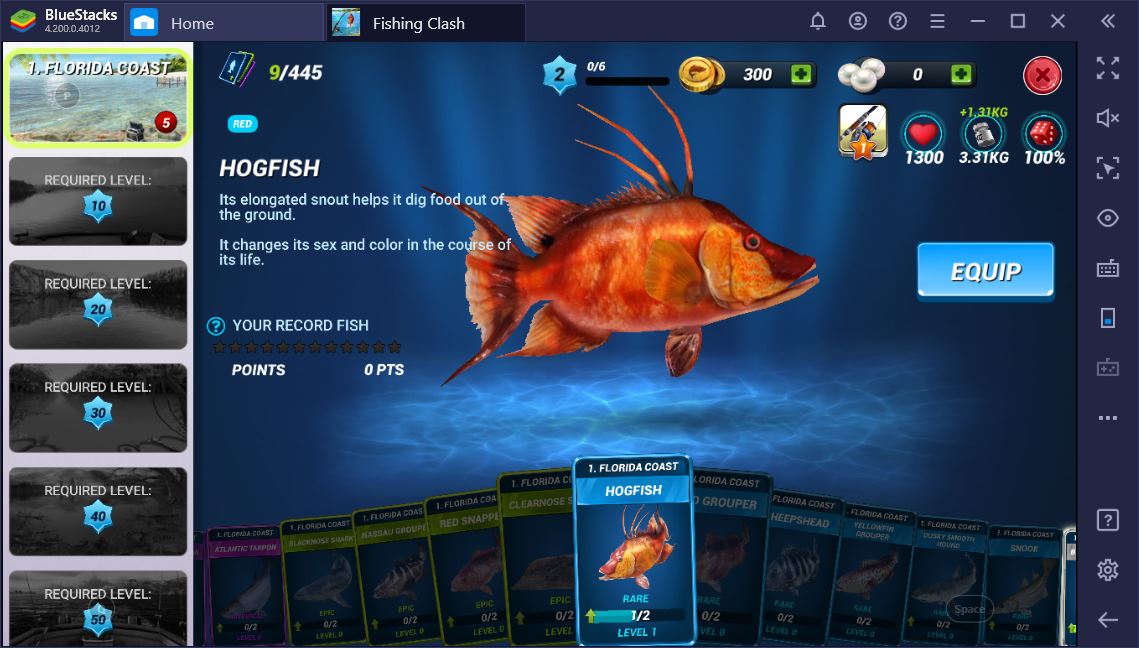 Fishing Clash: The Complete Guide to Rods