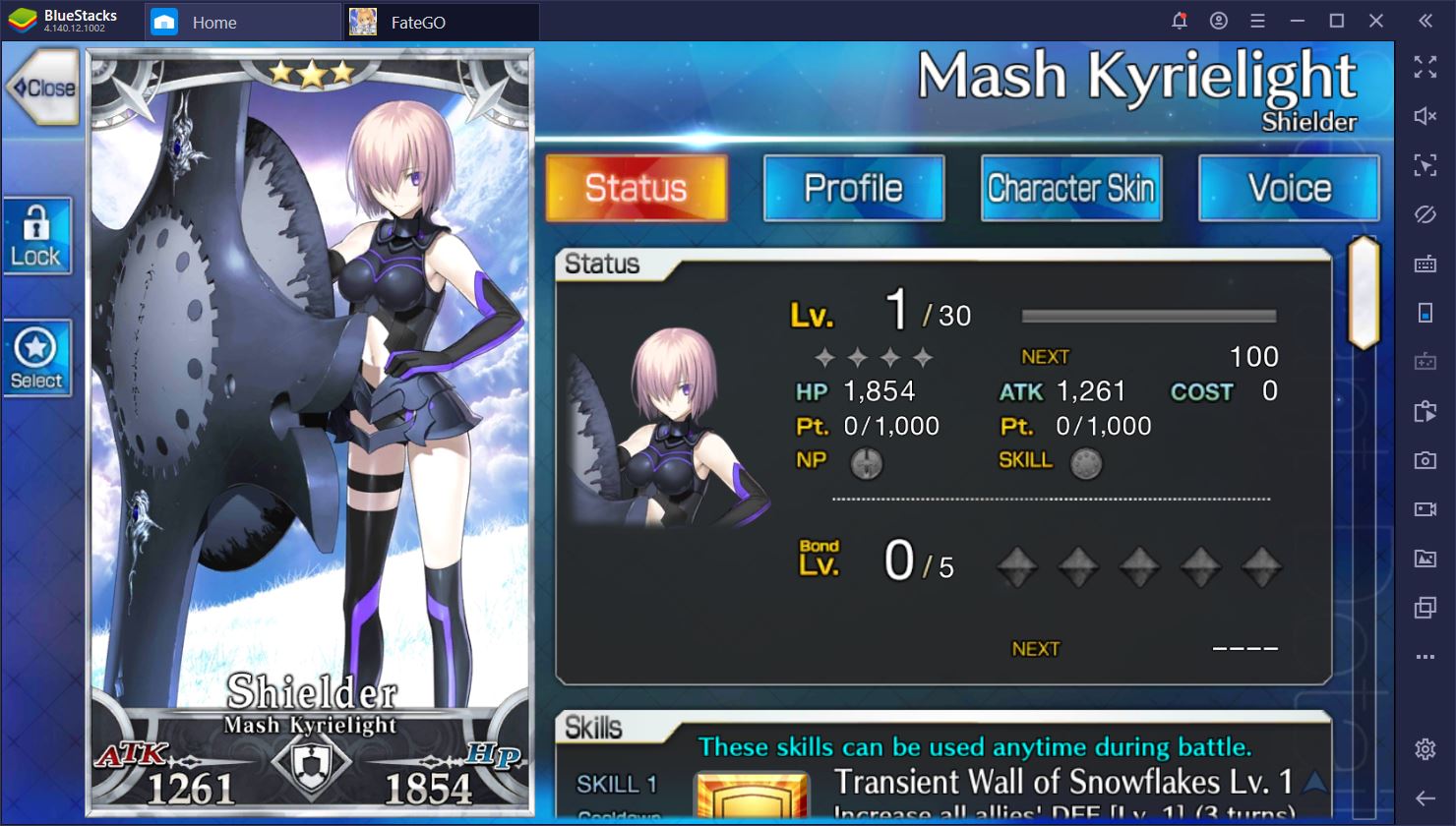 A Beginner's Guide to Fate/Grand Order