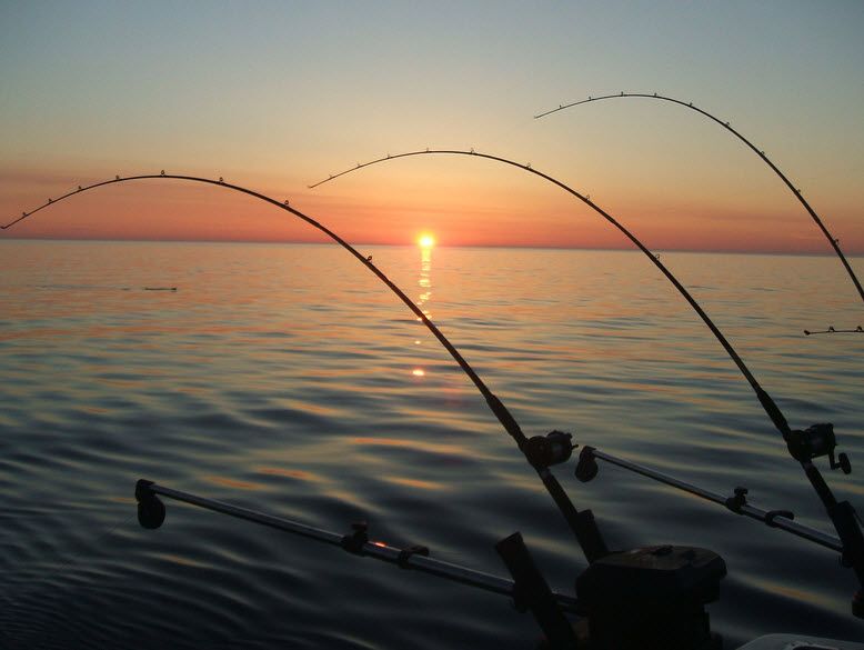 Featured: Top 10 Best Android Fishing Apps