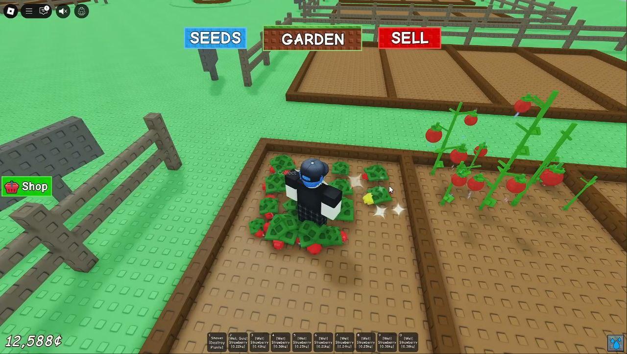 Tips dan Trik untuk Pemula di Game Roblox - Grow a Garden
