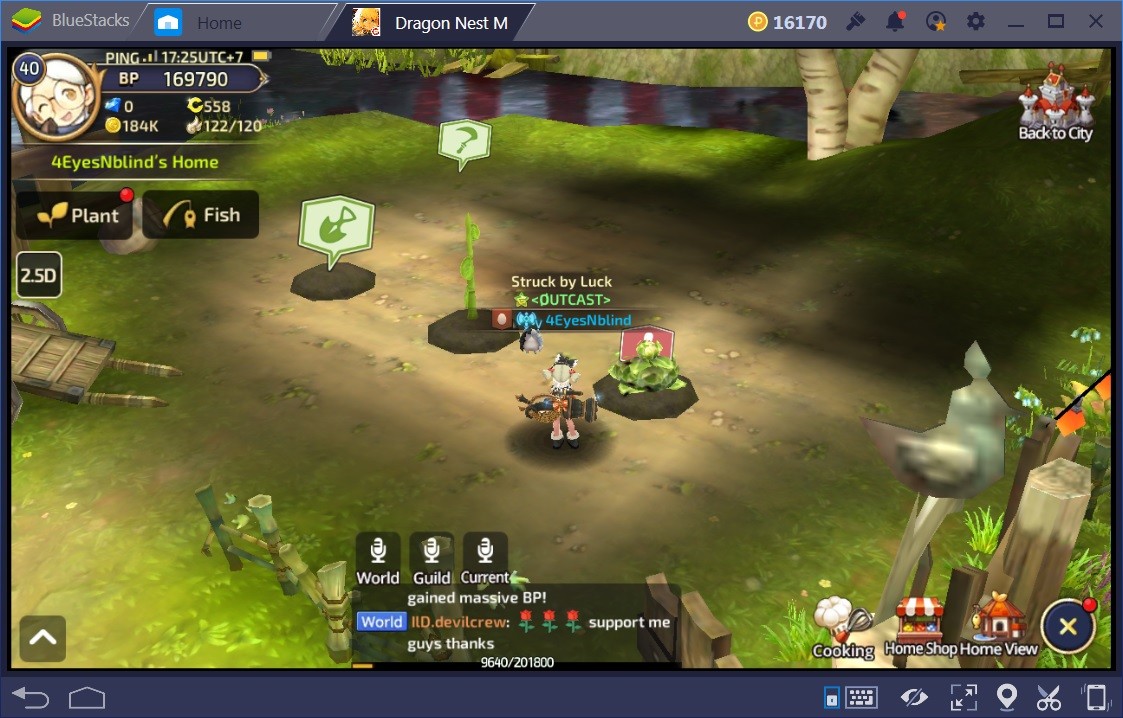 Dragon Nest M Resources Guide