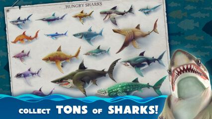 Hungry Shark World – Understanding Shark Sizes and How to Unlock Them