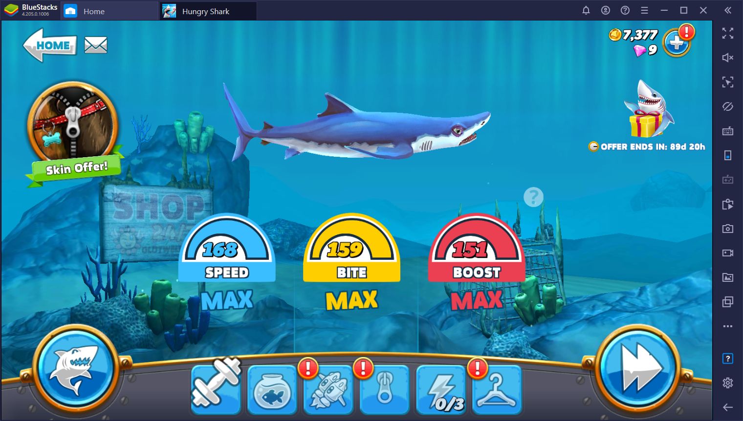 Hungry Shark World - Beginner’s Guide for Getting Started