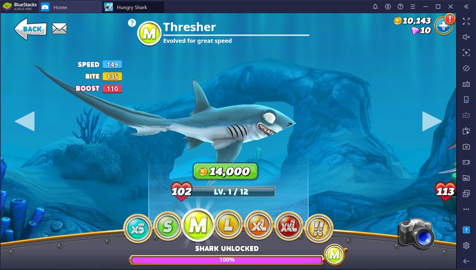 Hungry Shark World - A Guide on the Different Sharks and Size Categories
