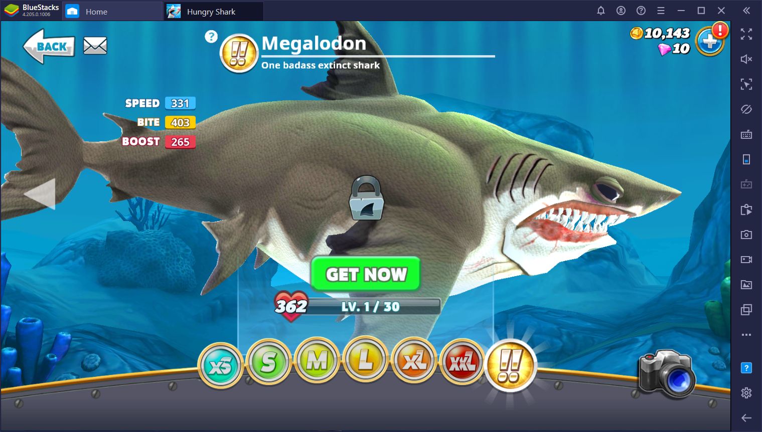 Hungry Shark World - A Guide on the Different Sharks and Size Categories