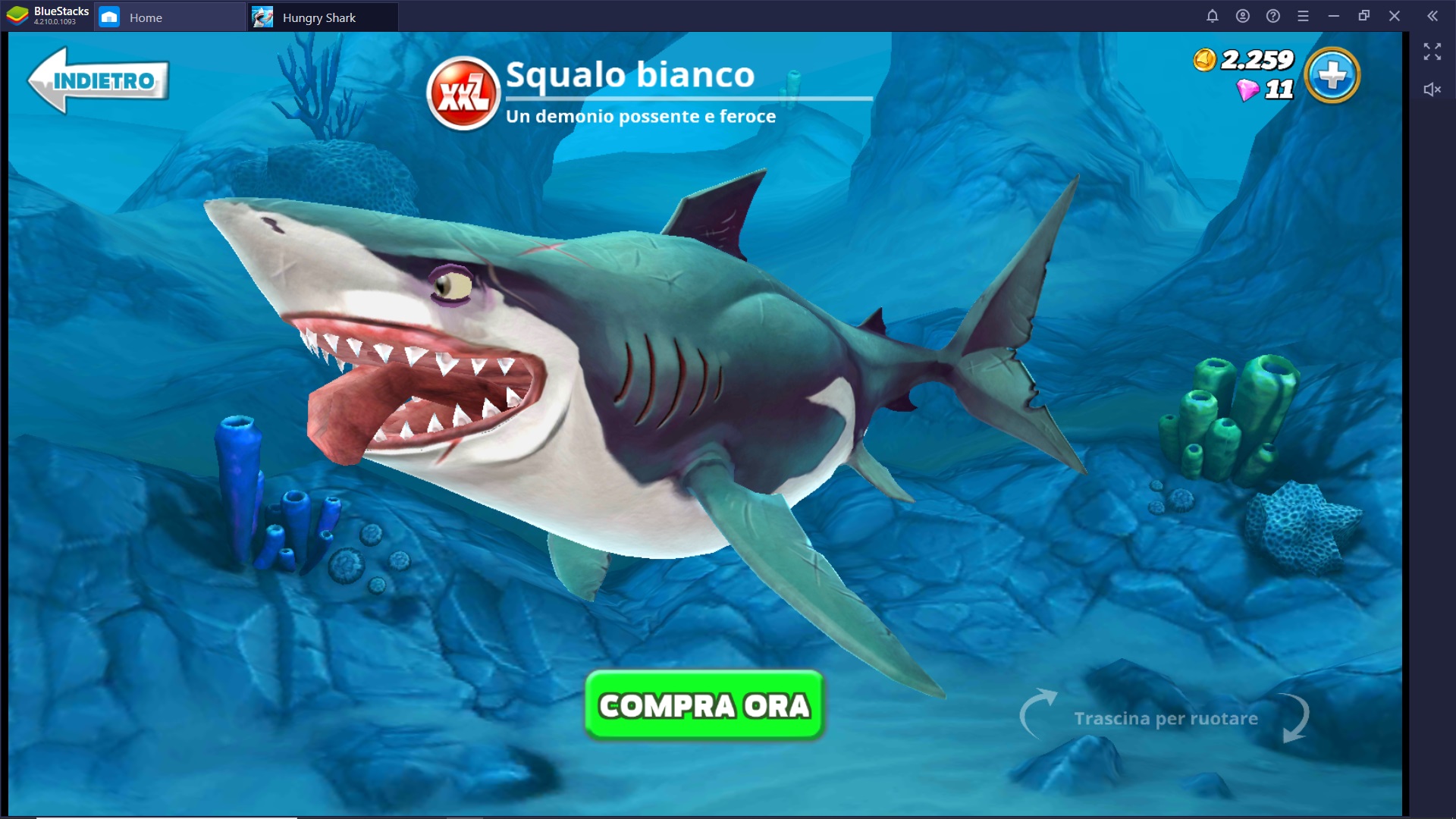 Guida agli Squali di Hungry Shark World – Come scegliere e differenze