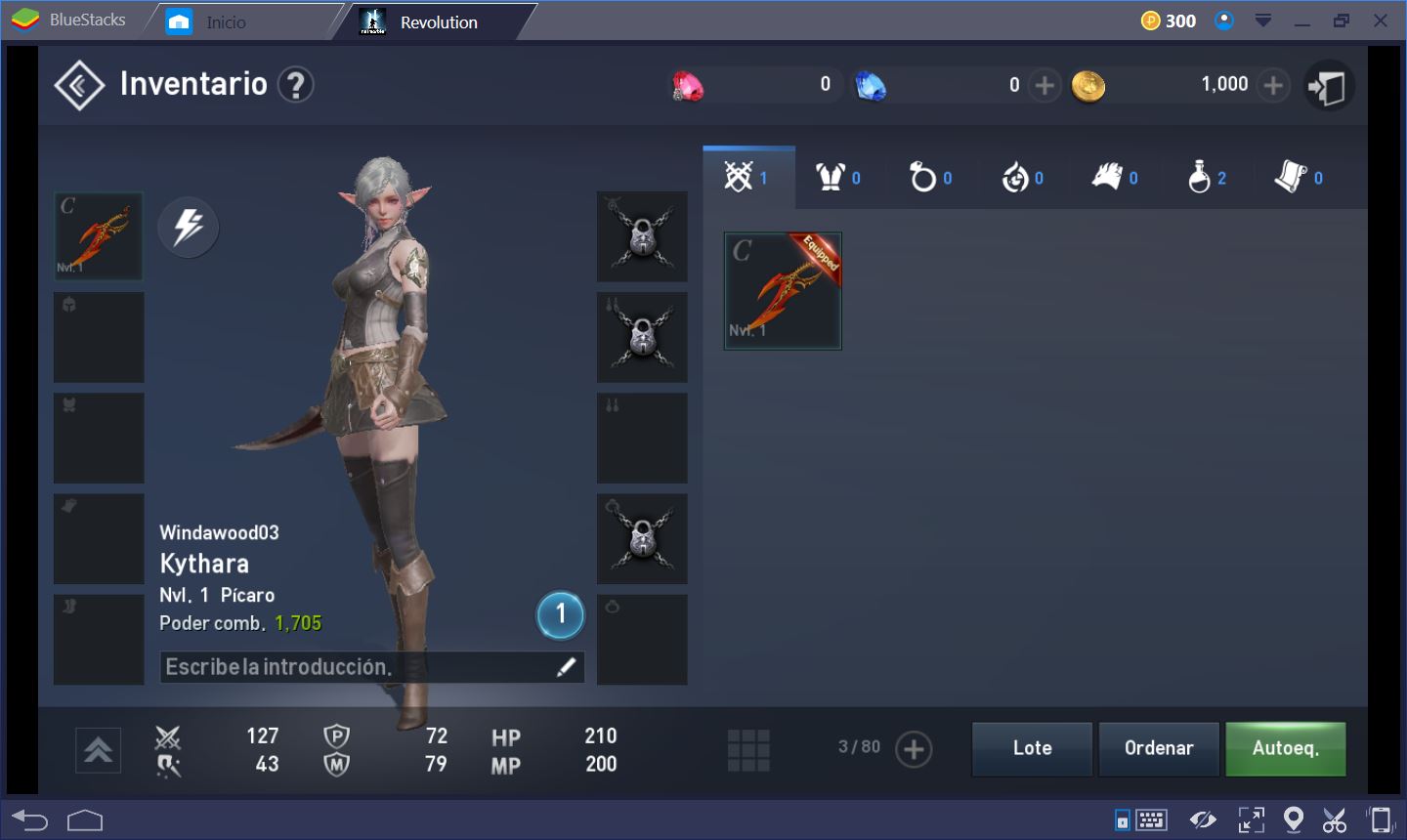 Lineage 2 Inventory Es