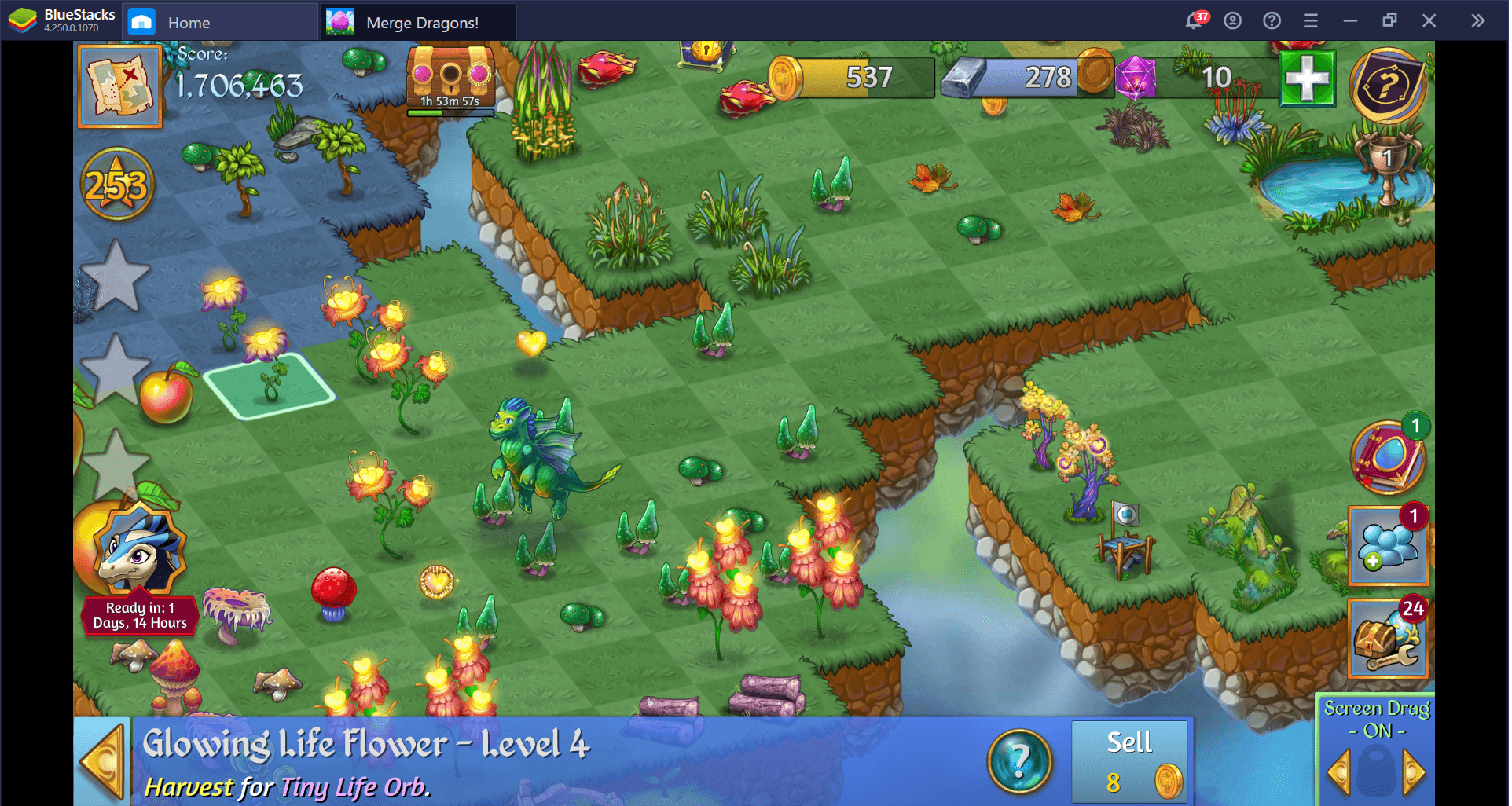 Everything You Should Know About Life Flowers in Merge Dragons