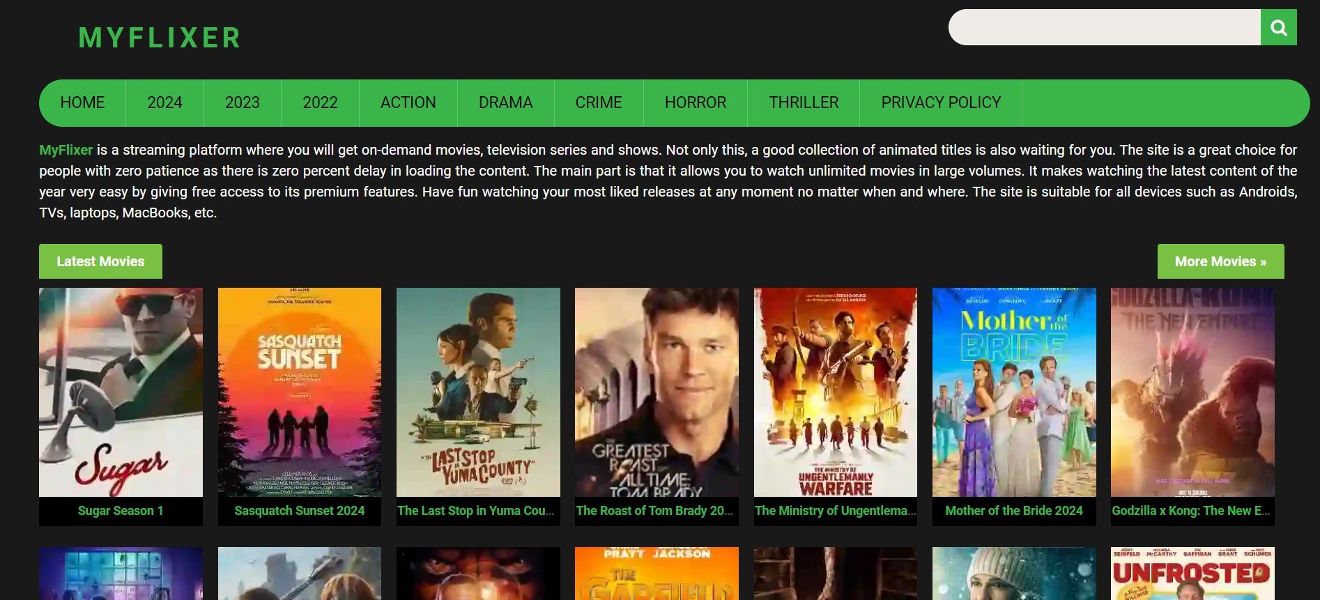 MyFlixer Guide and Review: Features and Alternatives