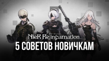 5 советов новичкам по NieR Reincarnation. Как прокачивать героев и где брать ценные ресурсы?