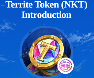 Wyjaśnienie Token Territe i Token Asterite w Ni no Kuni: Cross Worlds