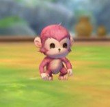 Ragnarok X Next Generation Tier List for the Best Pets (2025)