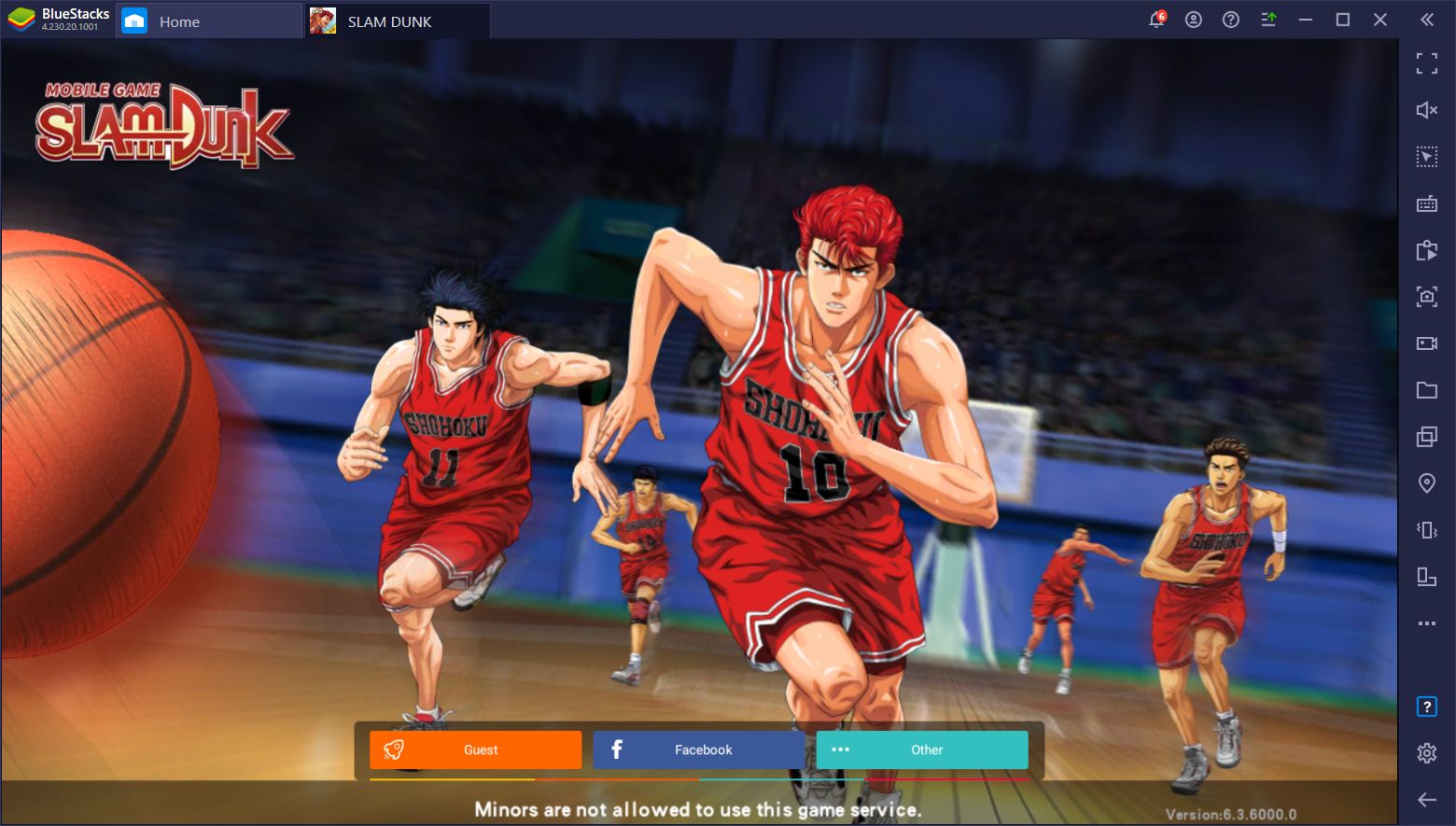 Slam Dunk Basketball Game 