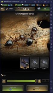 How to Rapidly Grow Your Colony In The Ants: Underground Kingdom with Our BlueStacks Tools