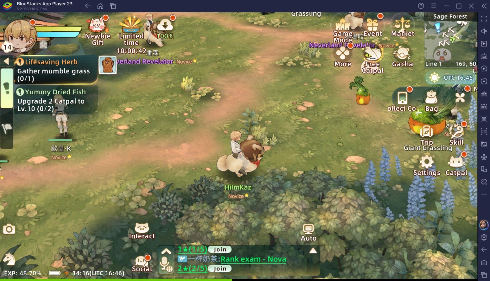 Langkah Awal Pemula di Tree of Savior: Neverland – Pahami Mekanisme Dasarnya!