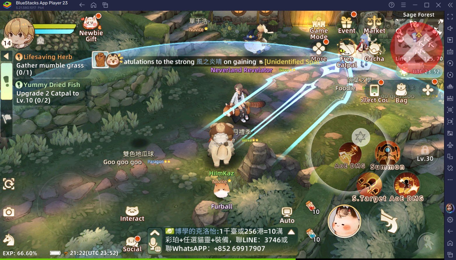 Tree of Savior: Neverland Combat Guide – Skills and Controls Explained