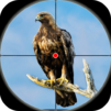 Desert Birds Sniper Shooter – Bird Hunting 2019