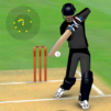 Smashing Cricket – a cricket game like none other