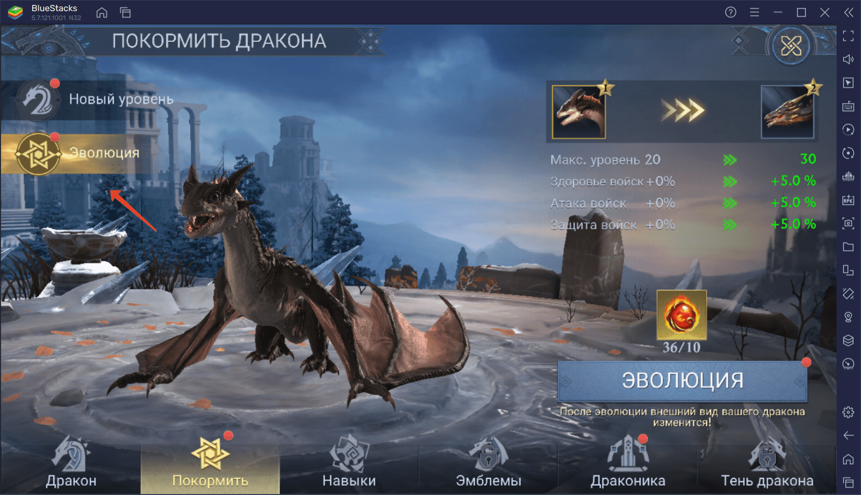 Гайд по развитию дракона в Age of Frostfall | BlueStacks