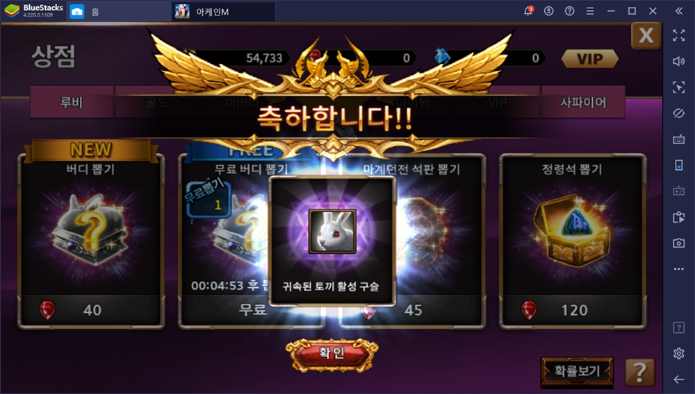 클래식 MMORPG 아케인M 블루스택으로 공략해봐요