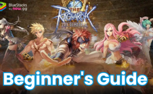 The Ragnarok Beginner’s Guide to Hone your Basics