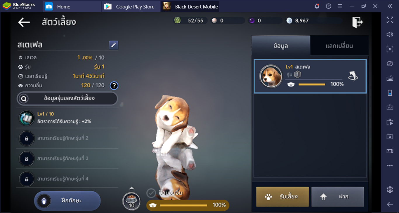 เพราะอะไรถึงต้องเล่น Black Desert: Mobile ผ่าน BlueStacks