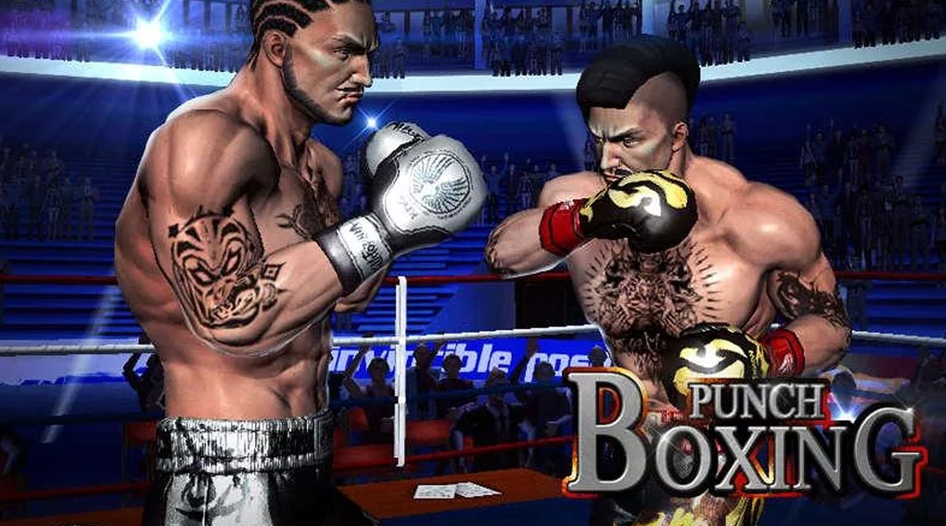 Punch Boxing 3D