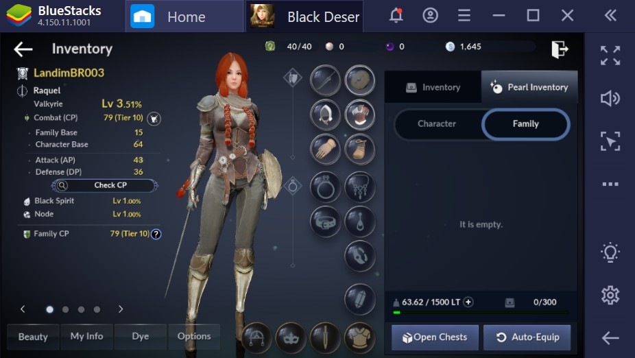 Black Desert Mobile: qual classe escolher?