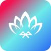 Lotus Lantern