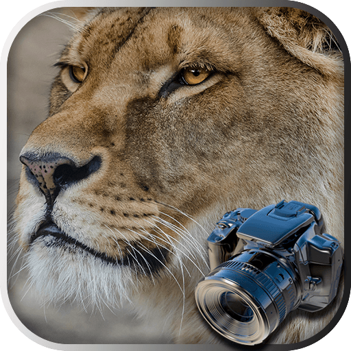 Hidden Animals: Photo Hunt – Seek and Find Games