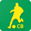 Copa do Brasil 2020