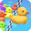 Duck Race: Name Picker