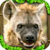 Hyena Simulator