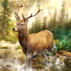 Hunting Clash:Trò chơi săn bắn