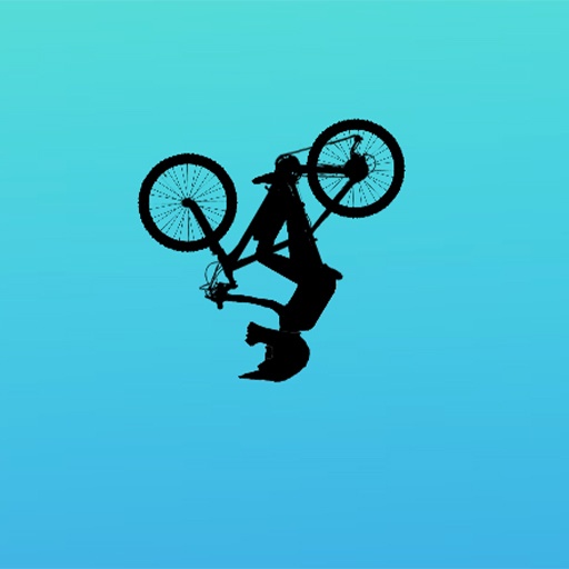 MTB Downhill Bike
