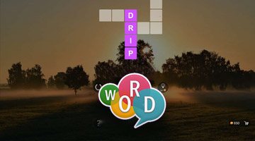 Word Crossy - Word Games Fun