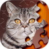 Jigsaw Puzzle