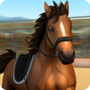 Horse World – Showjumping - For all horse fans!