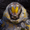The Last Interstellar Traveler