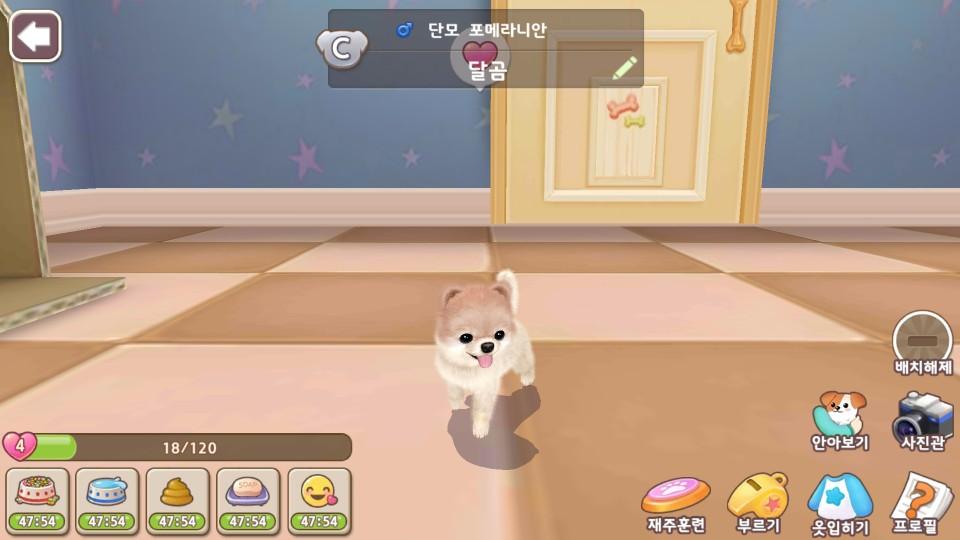 마이프렌즈: Dogs(독스) - PC와 Mac에서 다운로드하고 플레이하세요 (앱플레이어)
