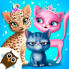 Cat Hair Salon Birthday Party - Virtual Kitty Care