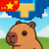 Block Pixel