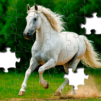 Jigsaw Puzzles – Jigsawgram