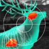 Wild Hunt: Reale Jagdspiele
