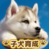 子犬のかわいい育成ゲーム – 癒しの犬育成アプリ