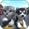 Cute Pocket Cat And Puppy 3D