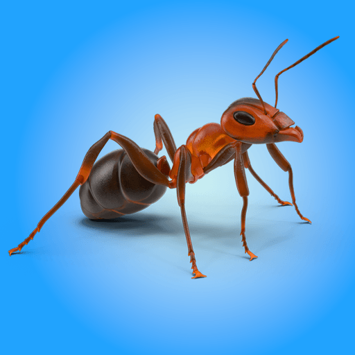 Ant Wars