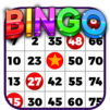 Bingo - Offline Board Game
