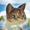Kitty Cat Resort
